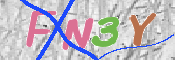 キャプチャ画像