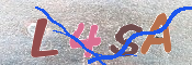キャプチャ画像