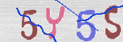 キャプチャ画像