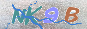 キャプチャ画像