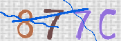 キャプチャ画像
