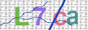 キャプチャ画像