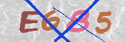 キャプチャ画像