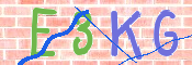 キャプチャ画像