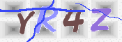キャプチャ画像